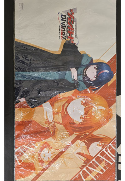 明導ヒカリ（未来）（外装痛み）