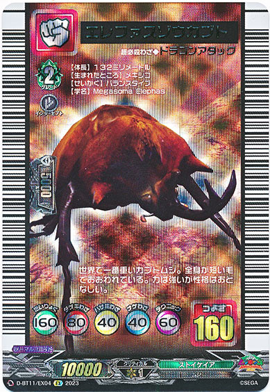 エレファスゾウカブト