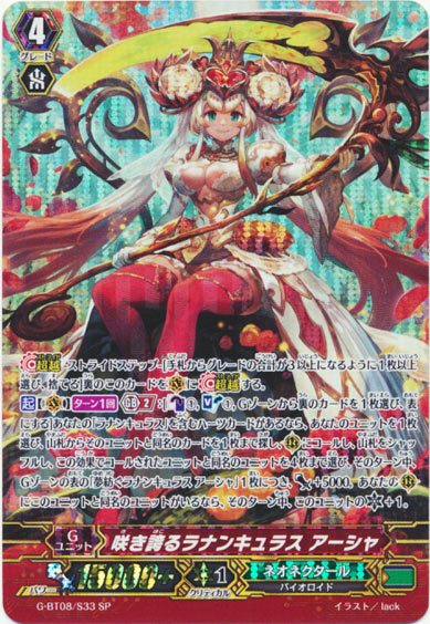 咲き誇るラナンキュラス アーシャ