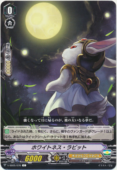 ホワイトネス・ラビット